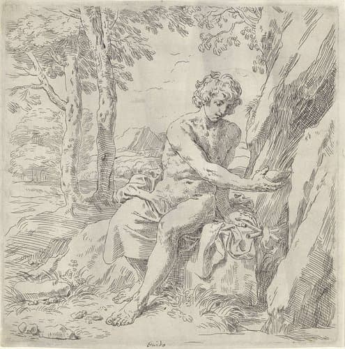 Johannes de Doper in de wildernis by Simone Cantarini