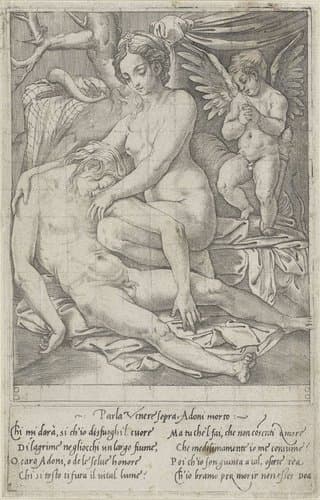 De liefdes van de goden by Giovanni Jacopo Caraglio