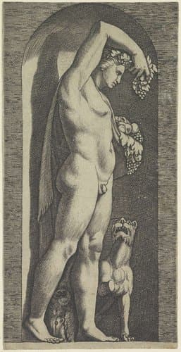 Bacchus by Marco Dente