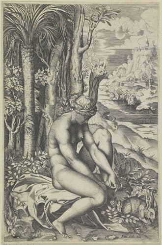 Venus en de roos by Marco Dente