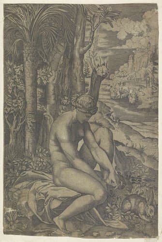 Venus en de roos by anonymous