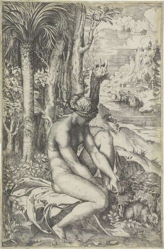Venus en de roos by Marco Dente