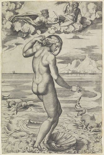 Geboorte van Venus by Marco Dente