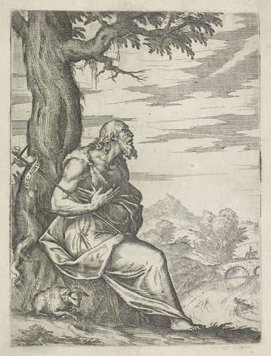 Johannes de Doper in de wildernis by Luca Guarinoni