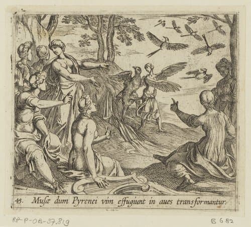 Musae dum Pyrenei vin essugiunt in aves transformantur by Antonio Tempesta