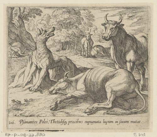 Wolf in marmer veranderd by Antonio Tempesta