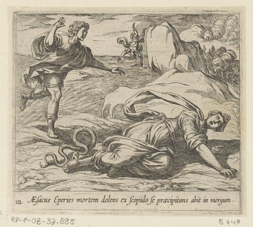 Aesacus Eperies mortem dolens ex scopulo se praecipitans abit in mergum by Antonio Tempesta