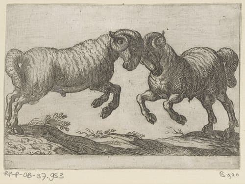 Twee vechtende rammen by Antonio Tempesta