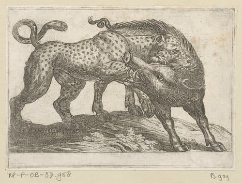 Een luipaard vechtend met een everzwijn by Antonio Tempesta