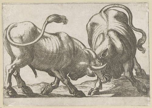 Twee vechtende stieren by Antonio Tempesta