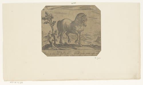 Paarden uit verschillende landen by Antonio Tempesta