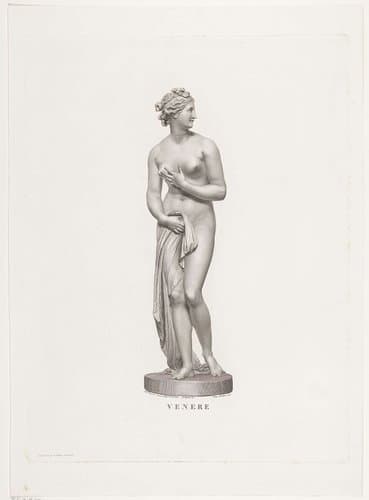Venus by Angelo Bertini