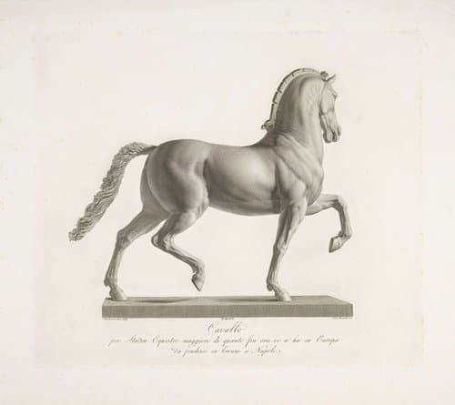 Cavallo by Domenico Marchetti