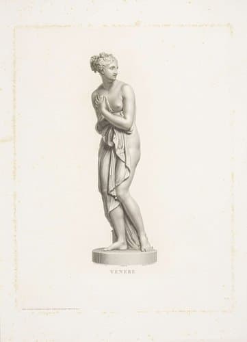 Venere by Domenico Marchetti