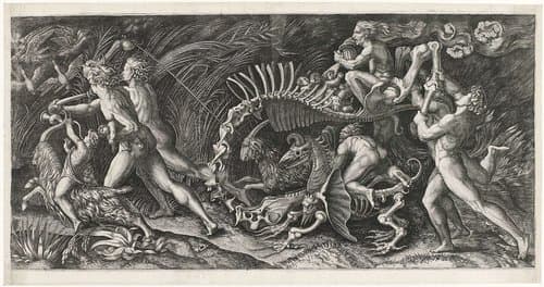 Het karkas by Agostino Veneziano