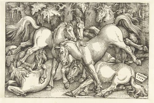 Groep van zeven vechtende paarden by Hans Baldung Grien