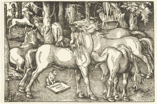 Groep van zeven paarden en een aap by Hans Baldung Grien