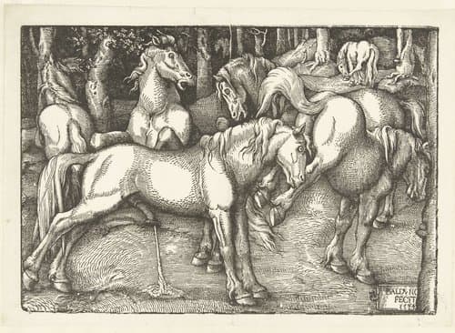 Groep van zes vechtende paarden by Hans Baldung Grien