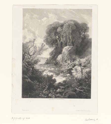 Berglandschap met bomen en rotsen by Alexandre Calame