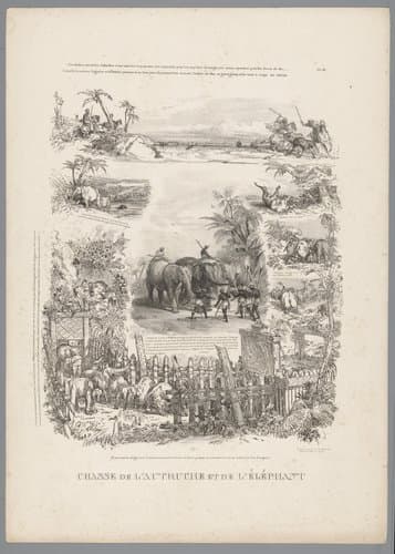 Jacht op struisvogel en olifant by Charles Aubry