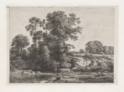 Bomen aan de oever van een poel by Jean Alexis Achard
