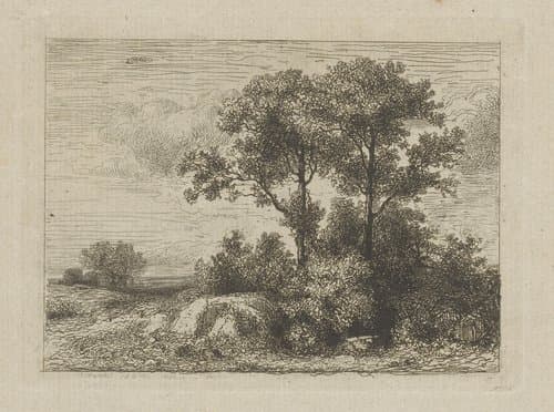 Twee bomen in het struikgewas by Jean Alexis Achard
