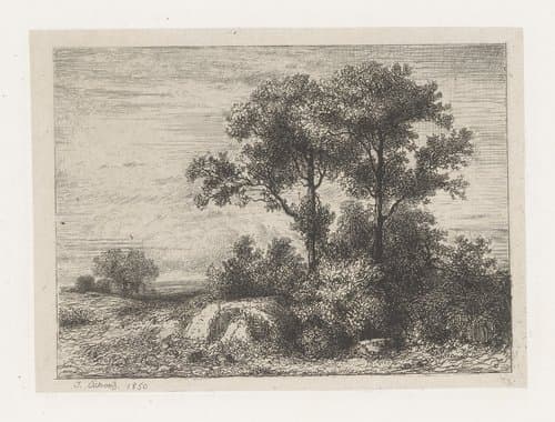 Twee bomen in het struikgewas by Jean Alexis Achard