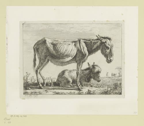 Ezel met jong by Jean Jacques de Boissieu