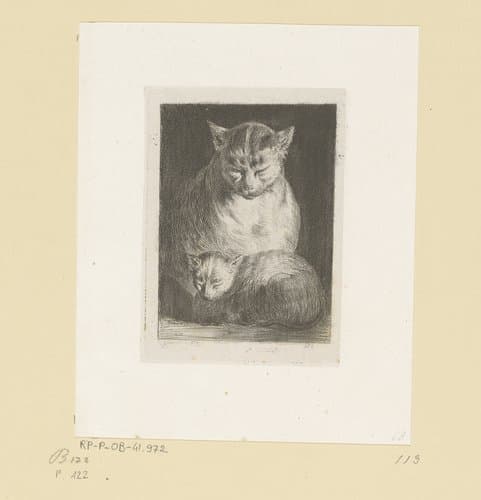 Kat met haar jong by Jean Jacques de Boissieu