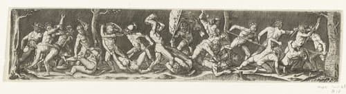 Strijd om het vaandel by anonymous