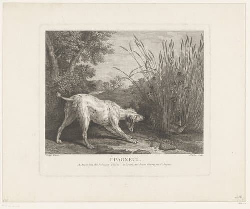 Setter-hond kijkend naar twee vogels in het riet by Claude Augustin Duflos