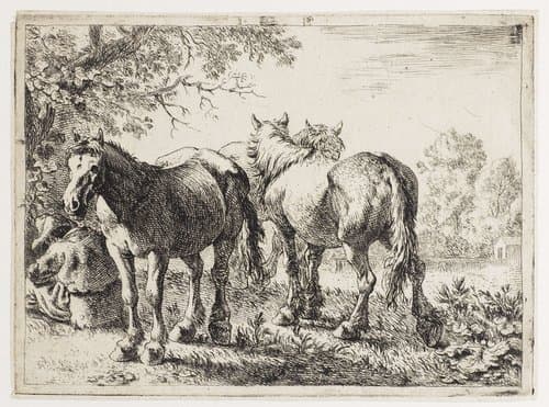 Drie paarden en een boer by Pieter Bodding van Laer