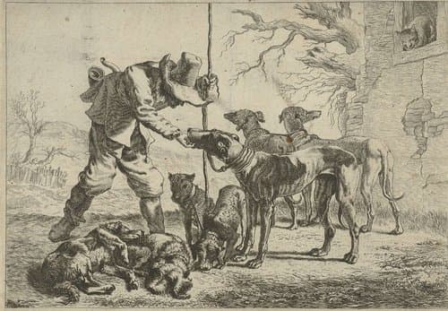 Verschillende dieren by anonymous