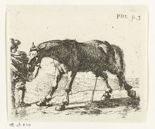 Paarden by Pieter Bodding van Laer
