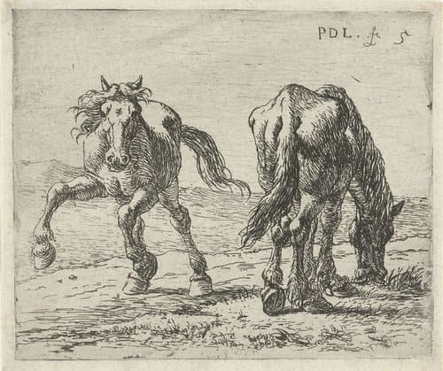 5/6 by Pieter Bodding van Laer
