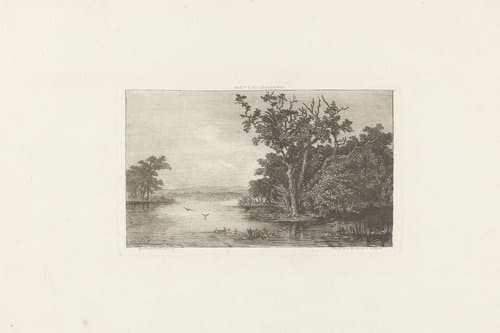 Gezicht op een bosmeer by Martinus Antonius Kuytenbrouwer jr.
