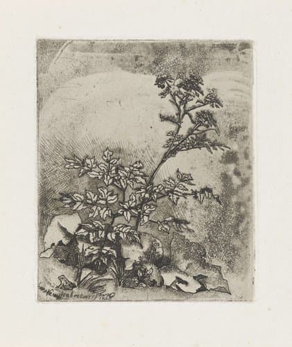 Twee planten en een kikker by Martinus Antonius Kuytenbrouwer jr.