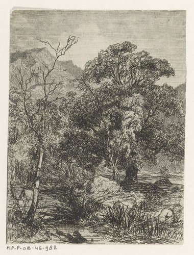 Bos met stromend beekje by Martinus Antonius Kuytenbrouwer jr.