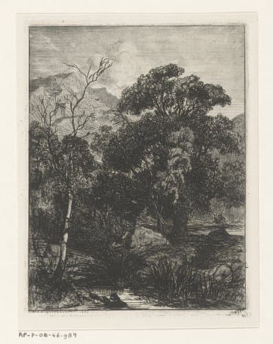 Bos met stromend beekje by Martinus Antonius Kuytenbrouwer jr.