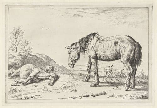 Het stervende paard by Paulus Potter