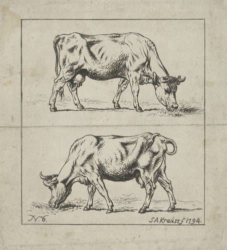 Studie van een koe by Simon Andreas Krausz