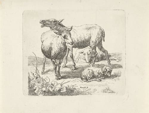 Drie schapen en een lammetje in een weide by Ernst Ludwig Creite