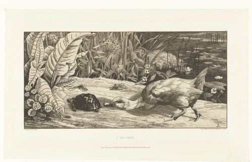 L'Inconnu by Félix Bracquemond