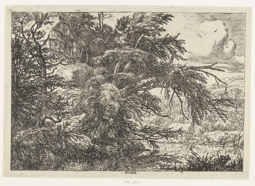 Boerderij op een heuvel by Jacob Isaacksz van Ruisdael