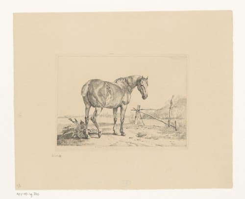 Landschap met paard bij een hek