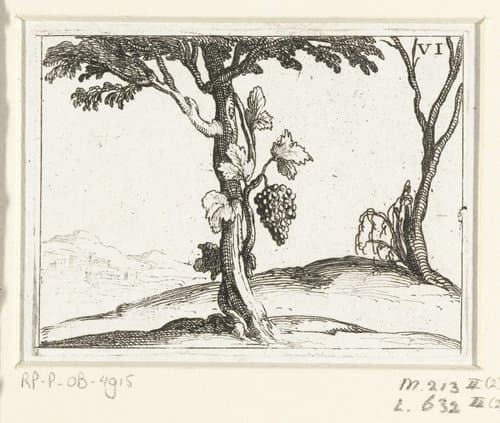 6/26 by Jacques Callot