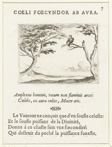 Gier in de wind by Jacques Callot
