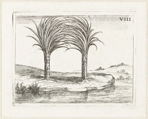 Twee palmbomen by Jacques Callot