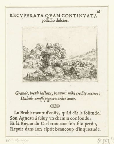 Een schaap roept haar lam by Jacques Callot