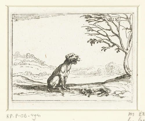 19/26 by Jacques Callot